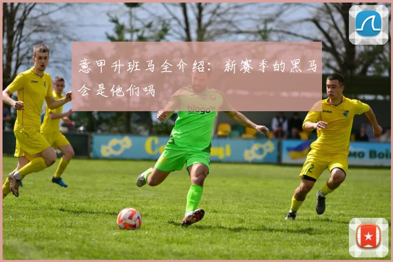 意甲升班马全介绍：新赛季的黑马会是他们吗